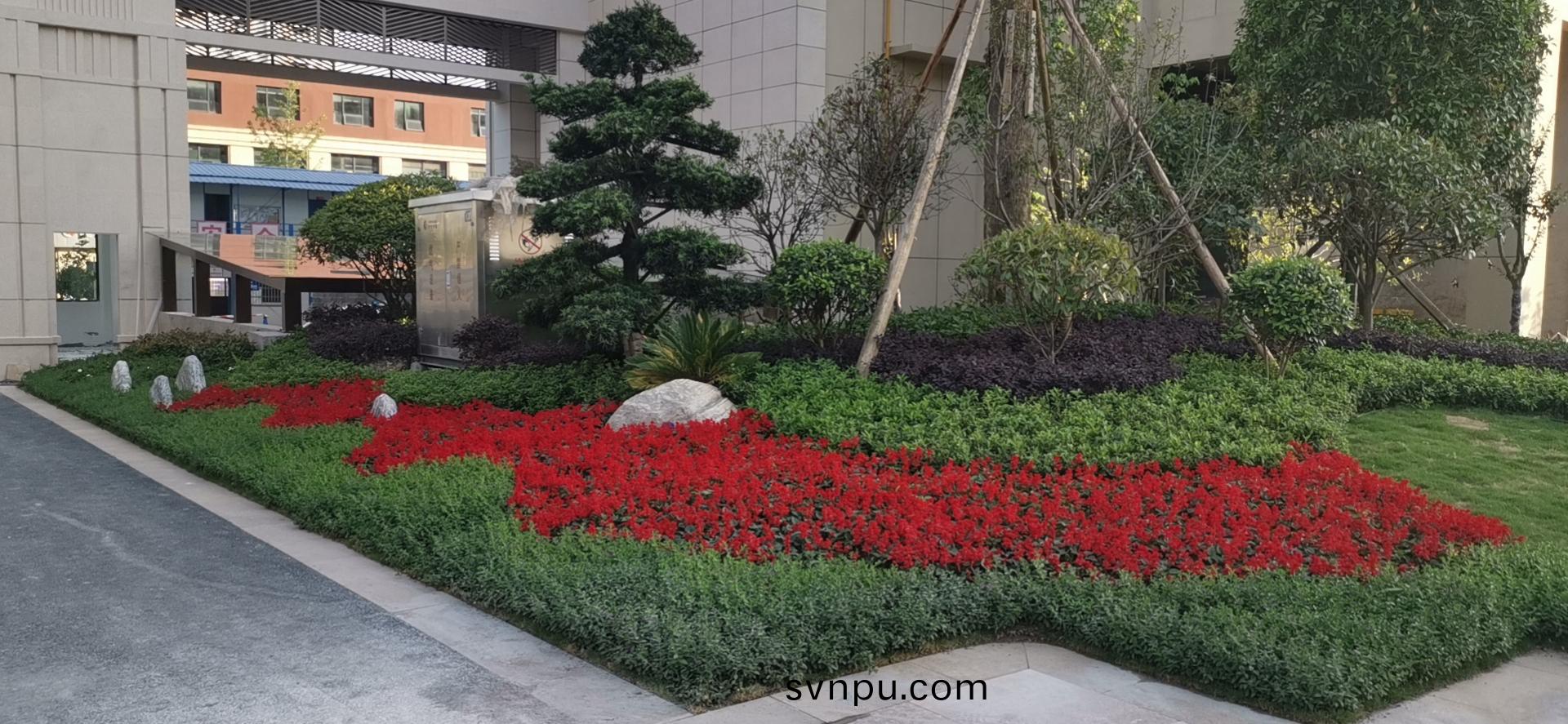 瓏景(jing)灣炤片(pian)