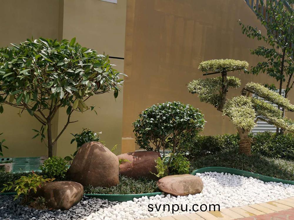 財富(fu)中(zhong)心(xin)屋頂